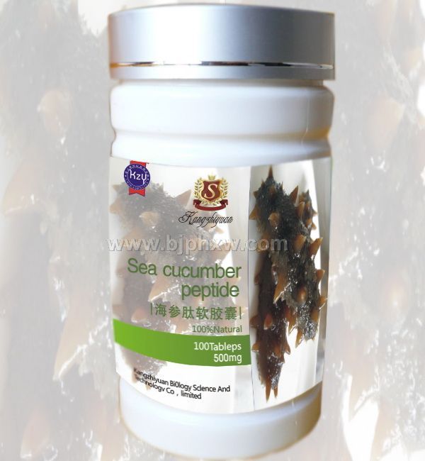 �������Ŀ���ϵ��/�����������塪����������Ʒ����