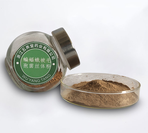 蝙蝠蛾被毛孢菌丝体粉（发酵冬虫夏草菌丝体粉）（浙江五养堂药业有限公司）