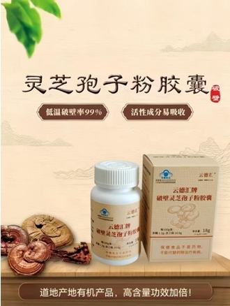 云德汇牌破壁灵芝孢子粉胶囊