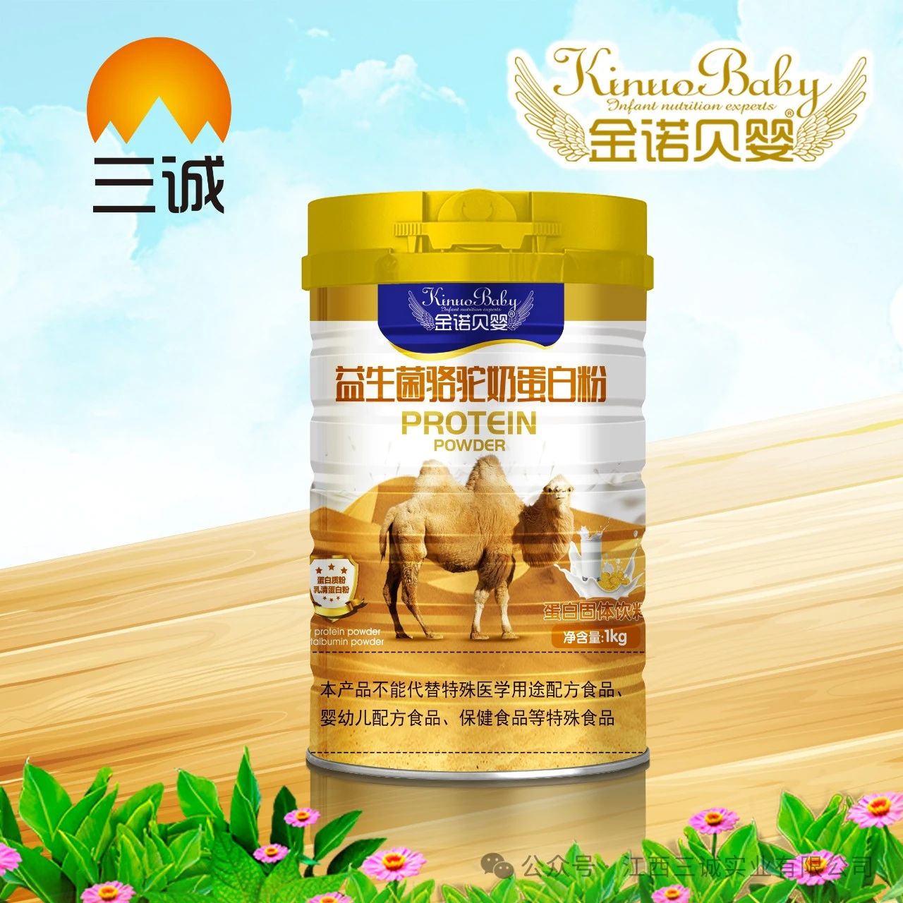 益生菌骆驼奶蛋白粉