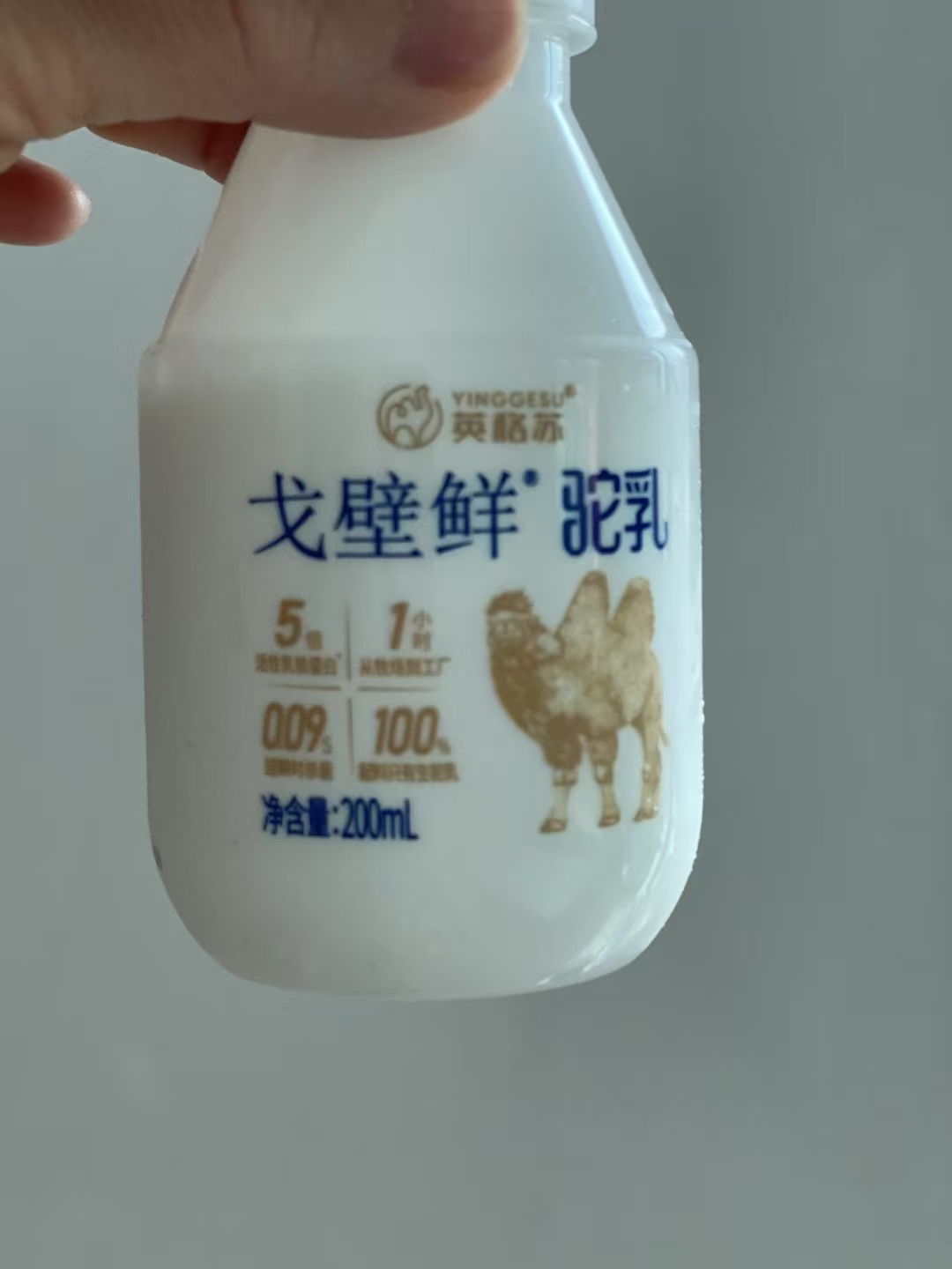 鲜驼乳