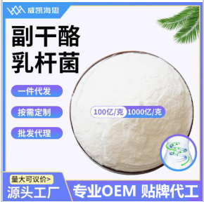 副干酪乳杆菌