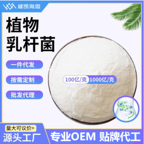 植物乳杆菌